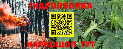 каннабис Берёзовский