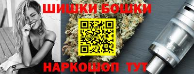 мдпв Бийск