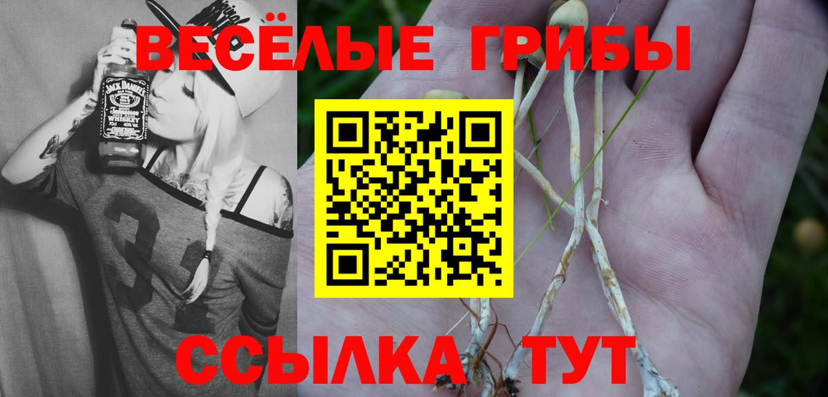 Псилоцибиновые грибы GOLDEN TEACHER  Вход с VPN  Карпинск 