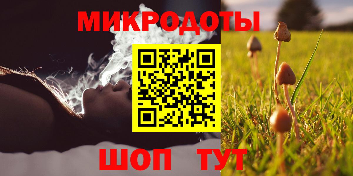 Псилоцибиновые грибы Magic Shrooms Карпинск